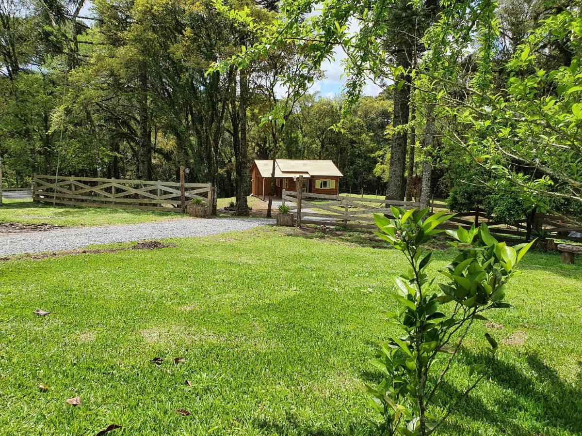 Sitio Recanto Feliz Gramado Exterior foto