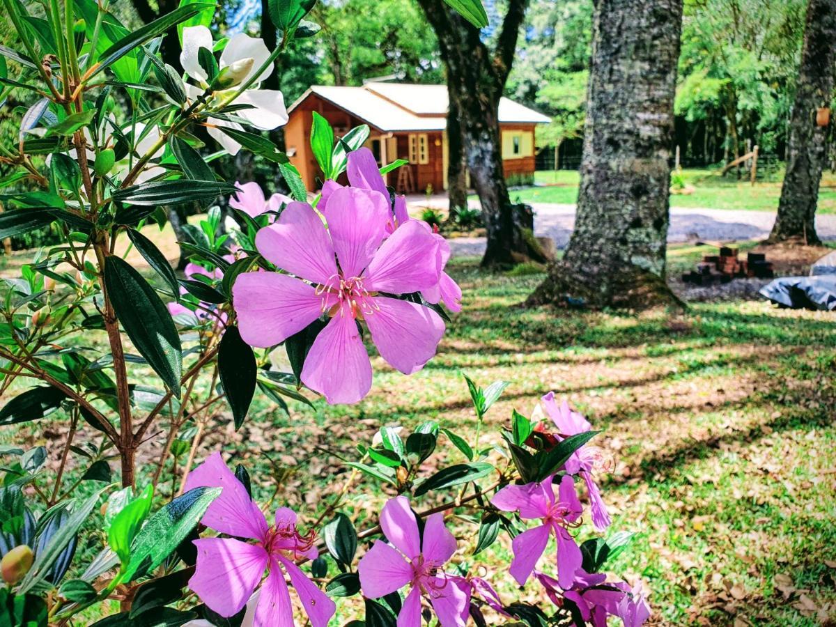 Sitio Recanto Feliz Gramado Exterior foto