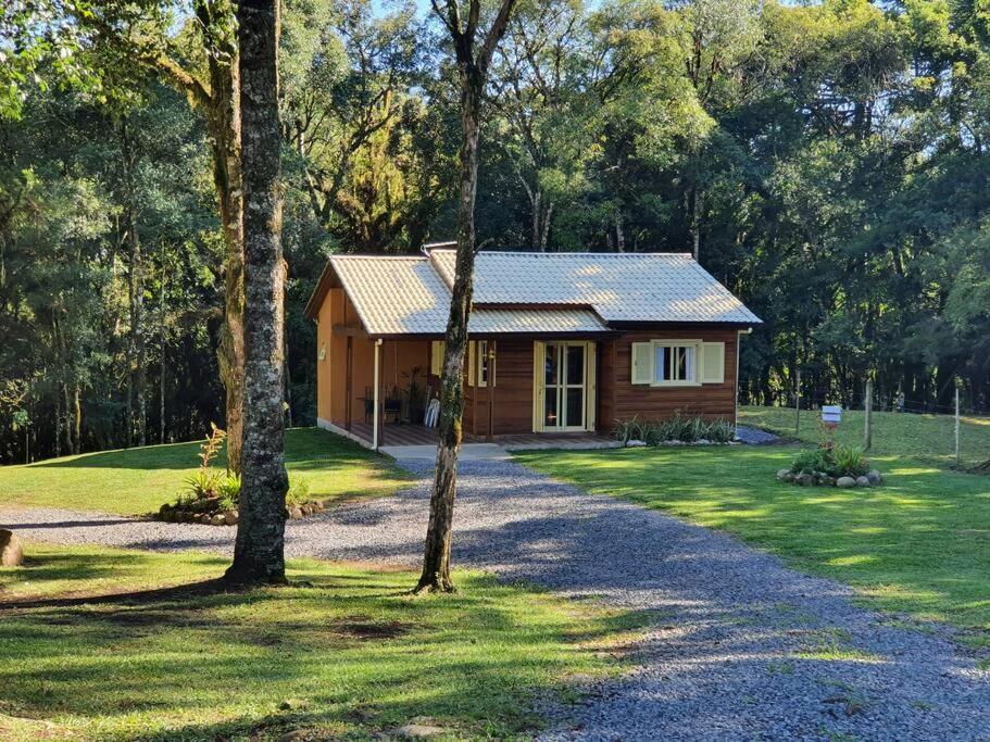 Sitio Recanto Feliz Gramado Exterior foto